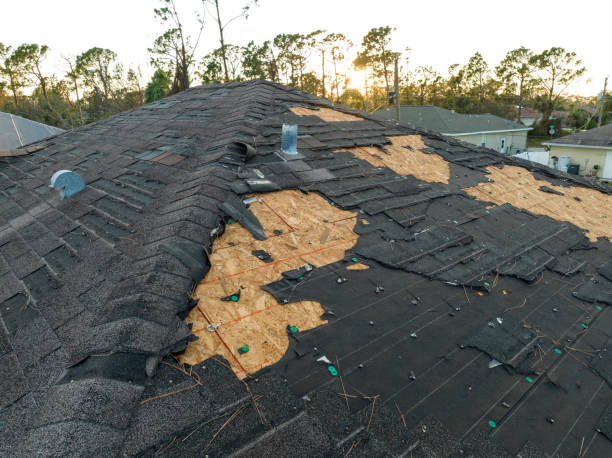 Best Roof Moss and Algae Removal  in Rio Dell, CA